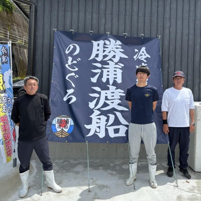 【3節】カツオ藁焼き約700g　急速冷凍で産地直送　藁の香ばしい香りが食欲を誘います