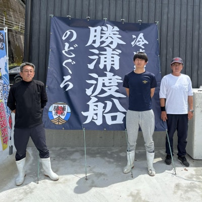 【3パック】ブリ切り身約750g(約250g×3P)　急速冷凍で産地直送　