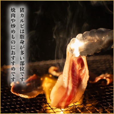 【阿波ジビエ】猪肉カルビスライス 約500g
