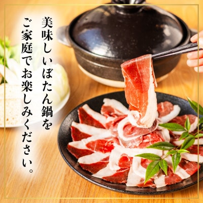 【阿波ジビエ】猪鍋用スライス肉　約1kg