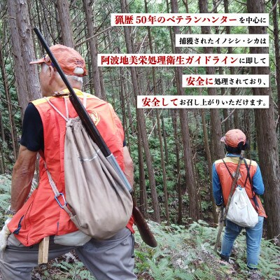 【毎月定期便】《粗挽き&細挽き計6kg|250g×各4P》鹿肉ペット用　鹿ミンチ　小分けタイプ全3回