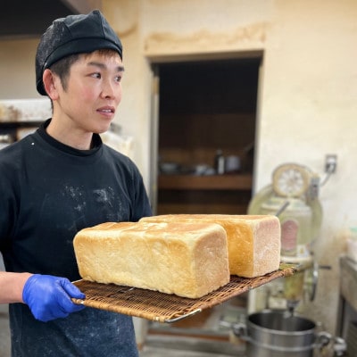 【毎月定期便】【5枚切り】ヒョウ柄食パン　冷凍3斤　保存料無添加全6回