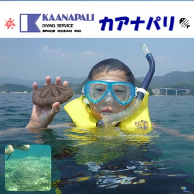 《ボート/1名様分/スノーケル器材貸出あり》徳島最南端の海陽町でスノーケリング体験!ライセンス不要