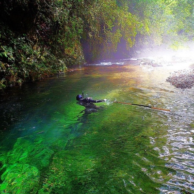 徳島県海部川産　天然鮎 中サイズ　600g(8～12尾)