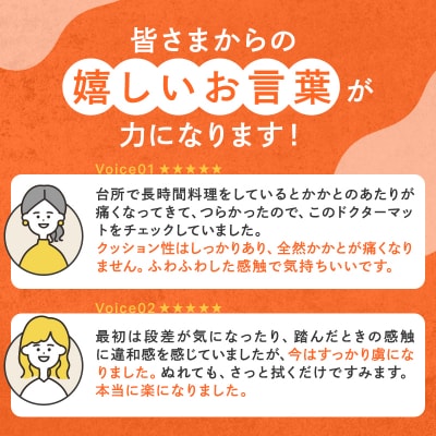 期間限定寄附額 ドクターマット L ブラウン アサヒ軽金属 アサヒ [No5698-0443]