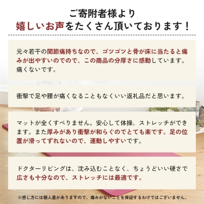 [ドクターリビング]トレーニング冊子付き ヨガマット トレーニングマット[No5698-0740]