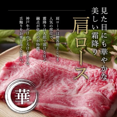 神戸牛 肩ロース すき焼き用 500g A4ランク A5ランク 牛肉 牛 [No5698-0541]