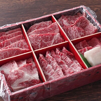 神戸牛 焼肉セット 6種 600g 食べ比べセット A4ランク A5ランク[No5698-0542]