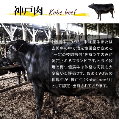 神戸牛 ロースステーキ 3枚 セット 600g 詰め合わせ A4ランク [No5698-0543]