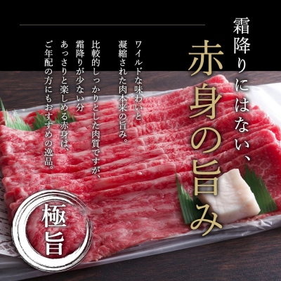 期間限定寄附額 神戸牛 赤身すき焼き 500g お肉 牛肉 しゃぶしゃぶ [No5698-0546]