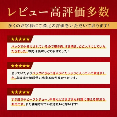 神戸牛 すき焼き肉 切り落とし 1kg [No5698-0700]