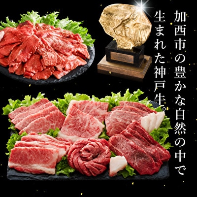 定期便 肉 神戸牛 満足4種【4ヶ月連続お届け】全4回[No5698-0629]