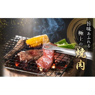 期間限定寄附額 神戸牛 福袋 焼肉 食べ比べ 3種 計600g 肩 もも [No5698-0766]