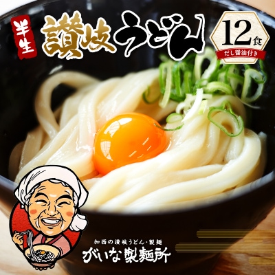 加西市で行列ができる『がいな製麺所』の 讃岐うどん セット こんぶ醤油付き[No5698-0009]