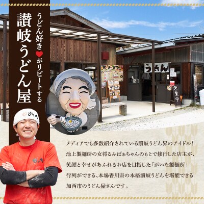 加西市で行列ができる『がいな製麺所』の 讃岐うどん セット こんぶ醤油付き[No5698-0009]