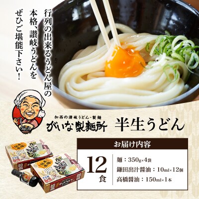 加西市で行列ができる『がいな製麺所』の 讃岐うどん セット こんぶ醤油付き[No5698-0009]