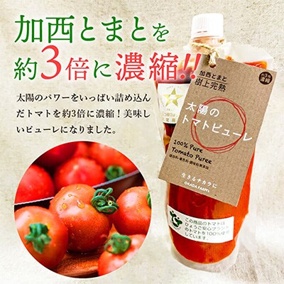 太陽のトマトピューレ3本セット[No5698-0723]