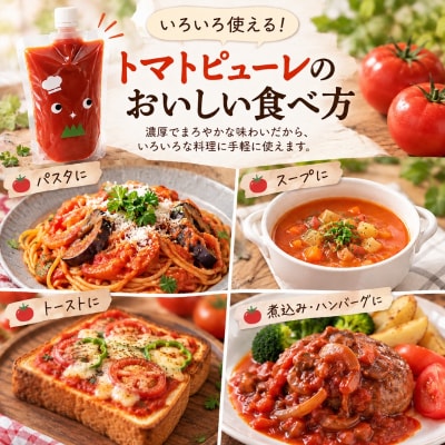 トマトピューレ 380g×3本[No5698-0723]