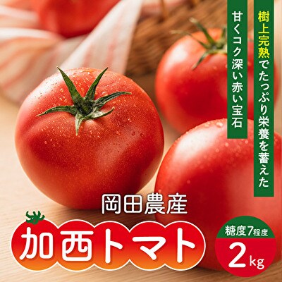 トマト 2kg トマトの一番星 野菜 とまと 完熟 高糖度 冷蔵配送[No5698-0714]