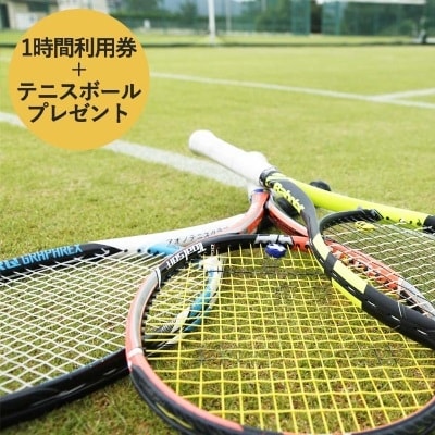 天然芝テニスコート(1時間)利用券+テニスボールプレゼント[No5698-0393]