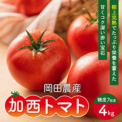 トマト 4kg トマトの一番星 野菜 とまと 完熟 高糖度 冷蔵配送[No5698-0605]