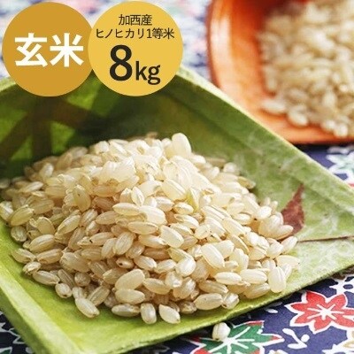 令和7年産 加西産 ヒノヒカリ 2等米 玄米 8kg[No5698-0375]
