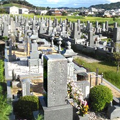 お墓現状確認サービス[No5698-0236]