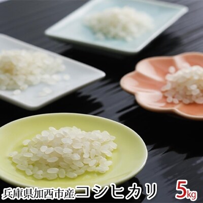 令和4年新米】兵庫県加西市産コシヒカリ 5kg[No5698-0247] | お礼品