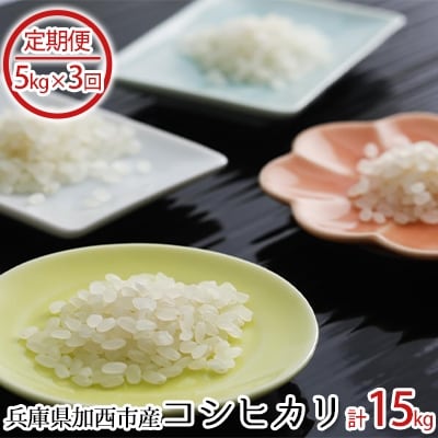 兵庫県加西市産コシヒカリ 5kg×3回【定期便】[No5698-0248]