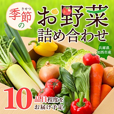 季節の野菜 セット 詰め合わせ 10品程度 野菜 野菜セット 旬の野菜[No5698-0390]