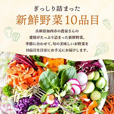 季節の野菜 セット 詰め合わせ 10品程度 野菜 野菜セット 旬の野菜[No5698-0390]