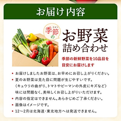 季節の野菜 セット 詰め合わせ 10品程度 野菜 野菜セット 旬の野菜[No5698-0390]