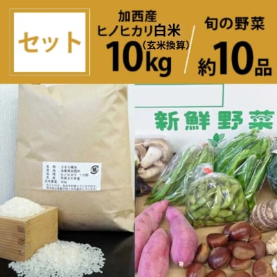 加西産ヒノヒカリと季節の野菜詰め合わせ[No5698-0391]