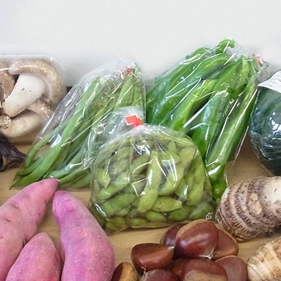 加西産ヒノヒカリと季節の野菜詰め合わせ[No5698-0391]