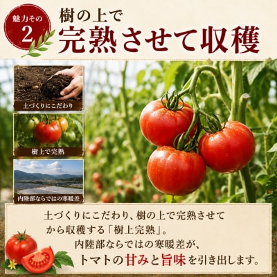 「加西産とまと」を使ったトマト&牛すじカレー[No5698-0022]