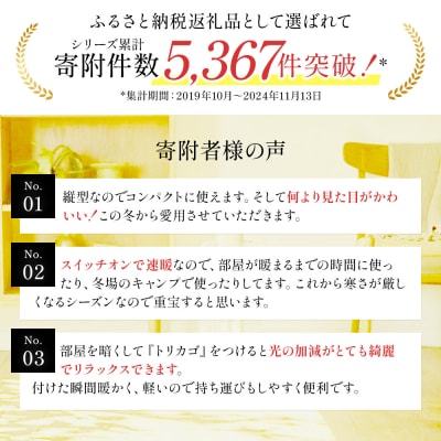 特別寄附額アラジン グリーン緑 電気ストーブトリカゴCAH-G42GD  [No5698-0610]