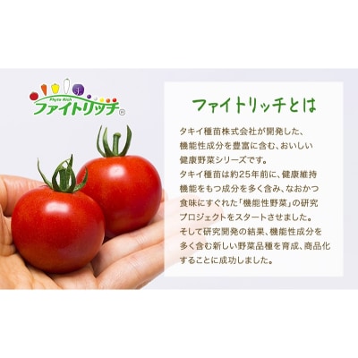 トマト 桜ファーム の 中玉トマト フルティカ 1.5kg 農家直送[No5698-0708]