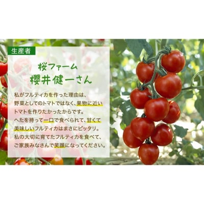 トマト 桜ファーム の 中玉トマト フルティカ 1.5kg 農家直送[No5698-0708]