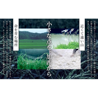 日本酒 SEN 純米大吟醸生酒 + 生もと生酒 飲み比べ セット ten [No5698-0809]