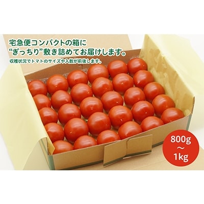 トマト 中玉 800g～1kg よしよし畑のあま～いトマト とまと 季節 [No5698-0717]