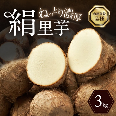 里芋 2025年産 絹里芋 おでん 煮物 おせち 無農薬 野菜類 [No5698-0008]