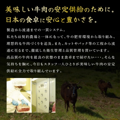 神戸牛 定期便 6ヶ月 食べ比べセット 焼肉用肉 すき焼き用肉 すじ肉 [No5698-0795]