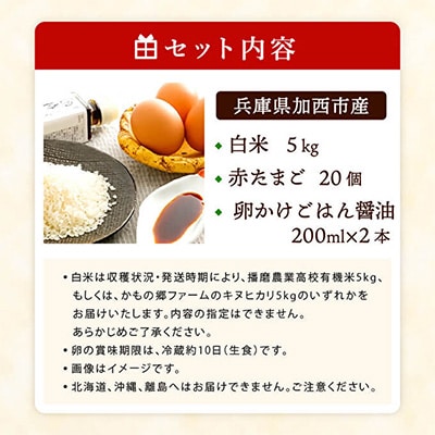 加西えぇもん『卵かけごはんボリュームセット』[No5698-0584]