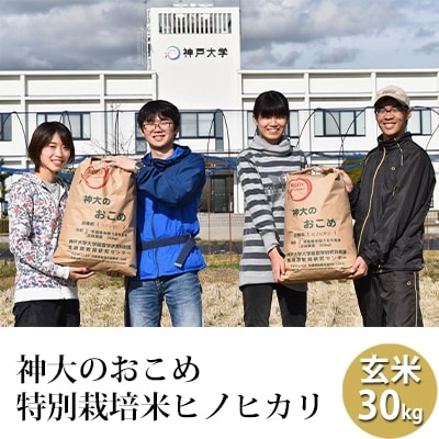 米 【令和5年産】神大のおこめ(特別栽培米ヒノヒカリ)玄米30kg[No5698