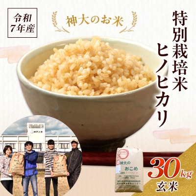 米 【令和7年産】神大のおこめ(特別栽培米ヒノヒカリ)玄米30kg お米[No5698-0847]