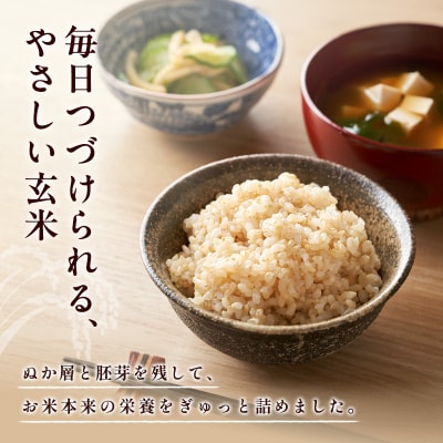 米 【令和7年産】神大のおこめ(特別栽培米ヒノヒカリ)玄米30kg お米[No5698-0847]