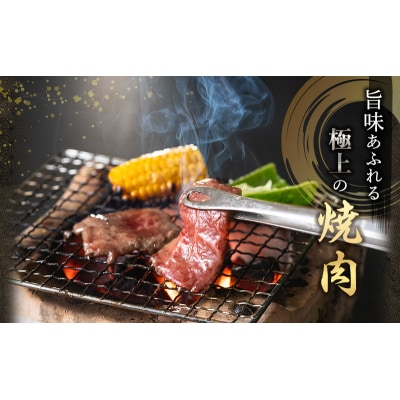 お中元 神戸牛 焼肉 食べ比べ Bセット 計1000g 肩 もも [No5698-0902]