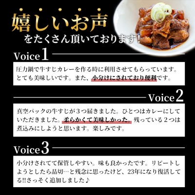 【最短4日以内発送】 神戸牛 すじ肉 3P セット 600g [No5698-0866]