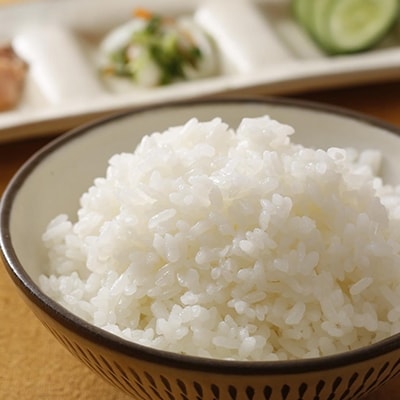 特別寄附額 米 令和7年産 有機・減農薬栽培米 キヌヒカリ 白米 [No5698-0614]