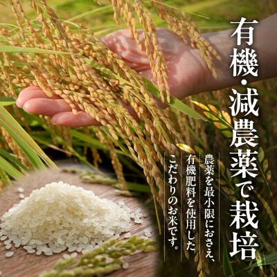 米 令和7年産 減農薬栽培米 キヌヒカリ 白米 10kg(5kg×2)[No5698-0614]